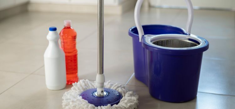 Can You Put Vinegar in a Steam Mop