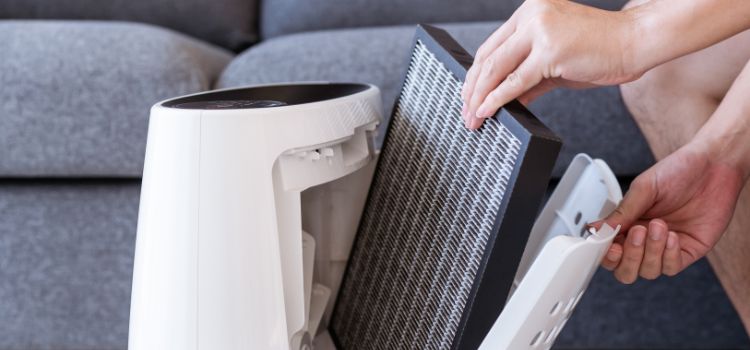 How to Clean Your Blueair Air Purifier