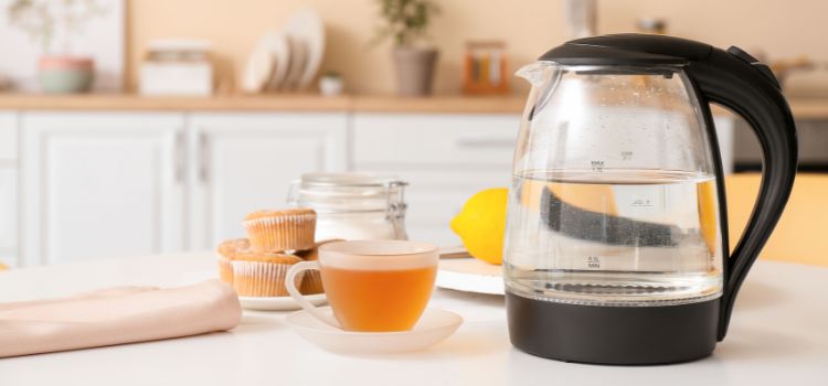 Best Electric Tea Kettle Without Plastic