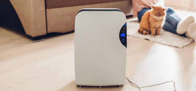 Dehumidifier Hot Air