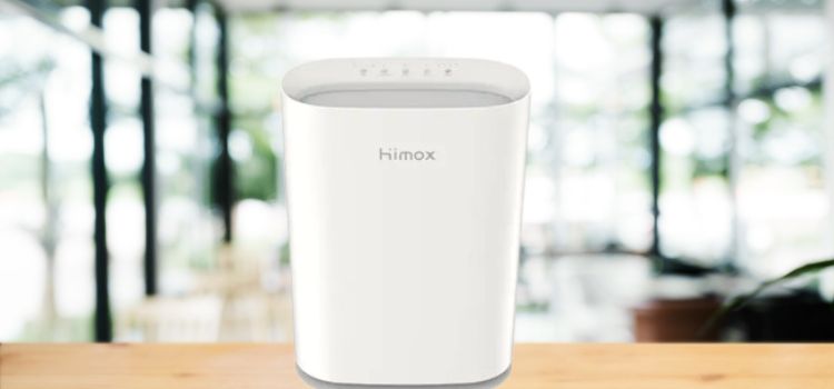 Himox Air Purifier Reviews