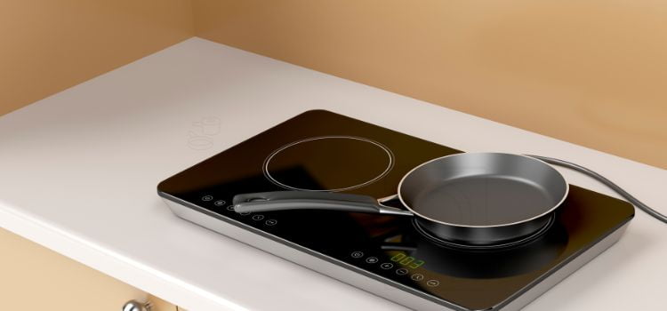 Bluestar Induction Cooktop Reviews